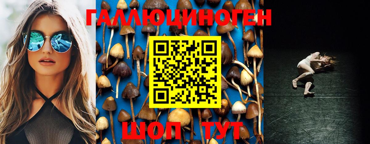 Моздок  Галлюциногенные грибы мухоморы  Вход с VPN 